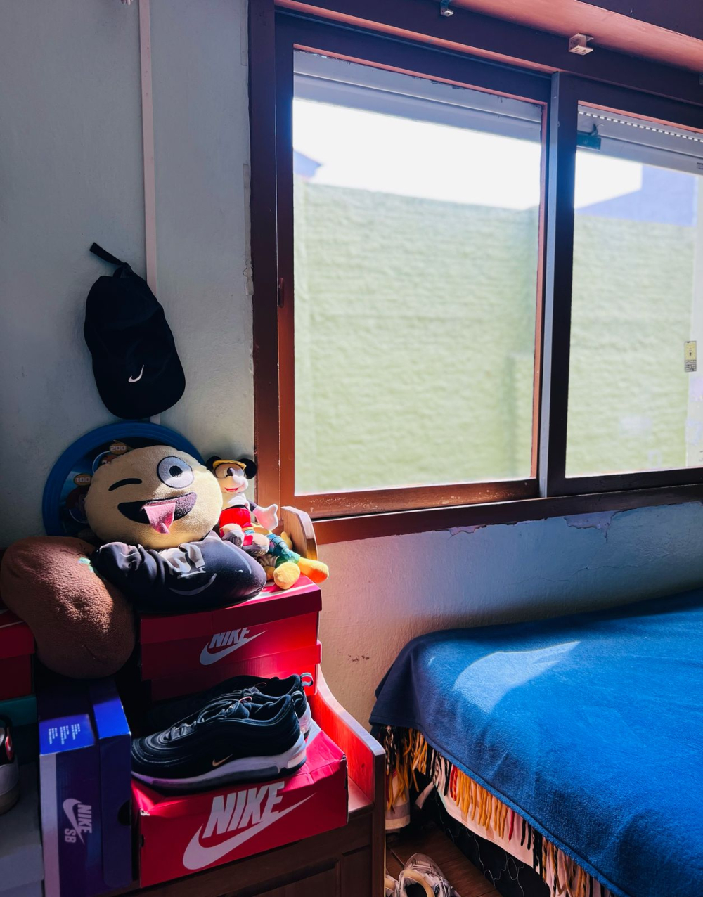 Casa, Areal, Pelotas/RS