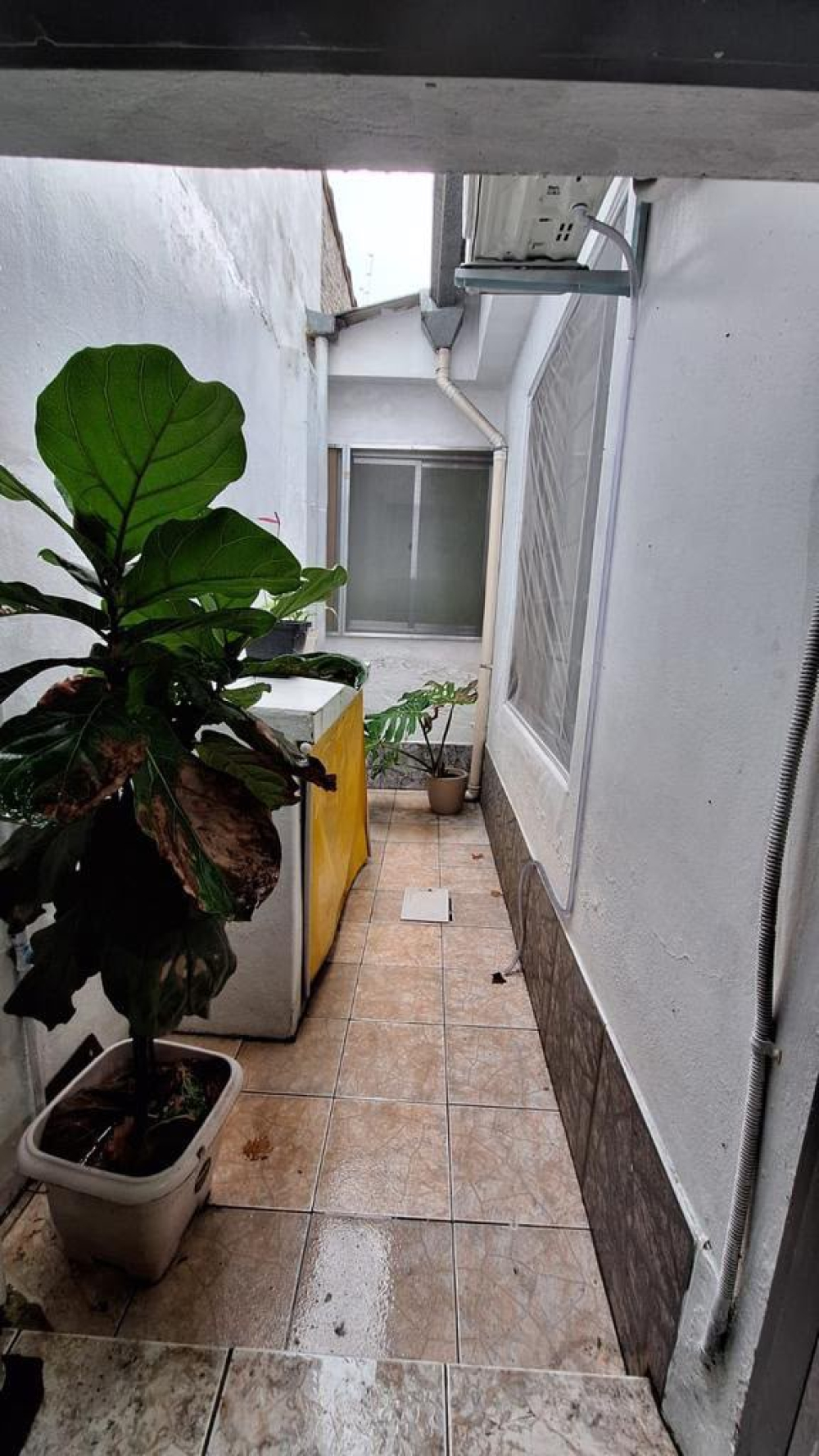 Casa, Centro, Pelotas/RS