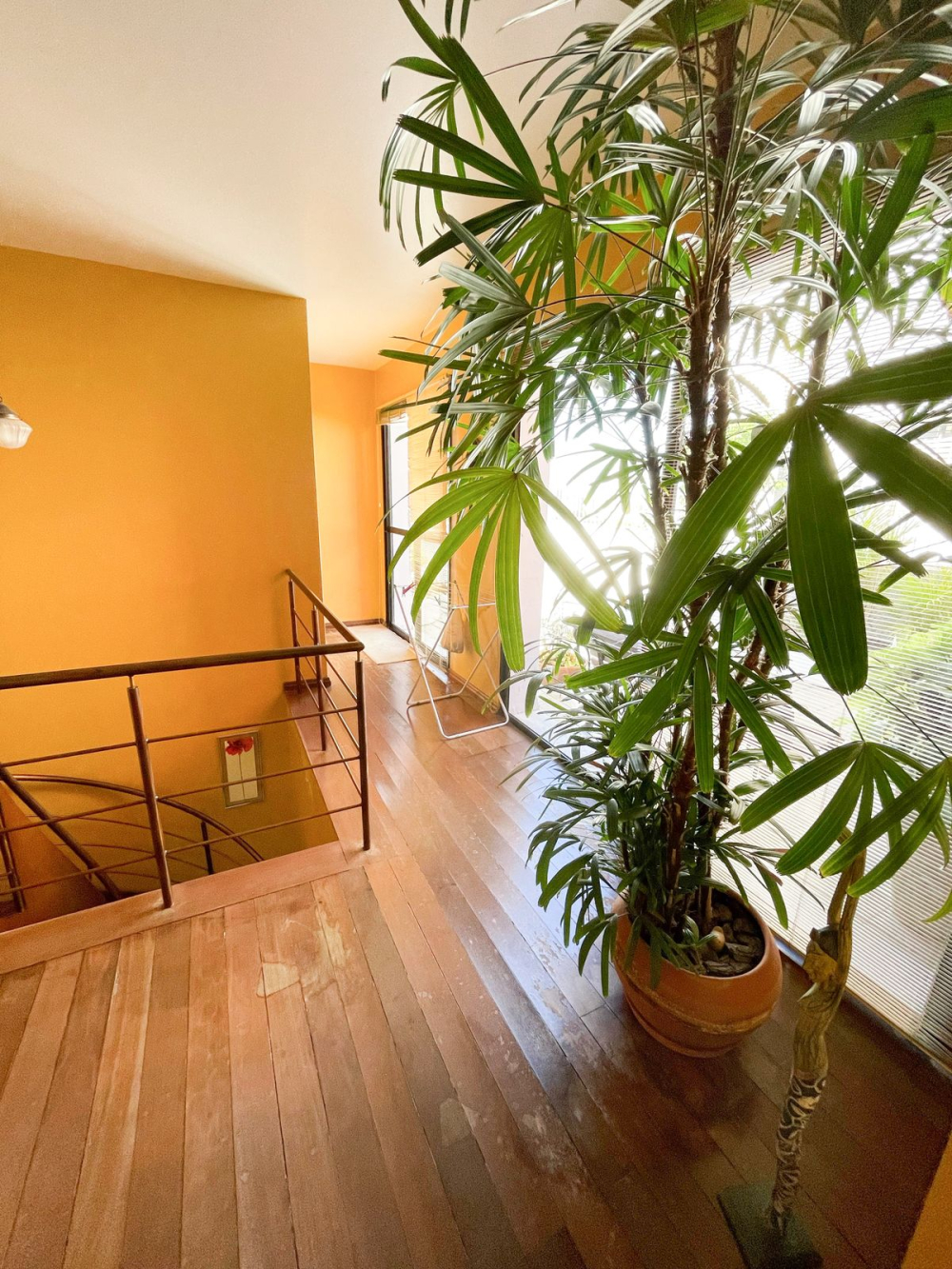 Cobertura no Centro, Pelotas RS