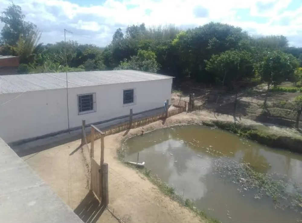 Casa, Pelotas/RS