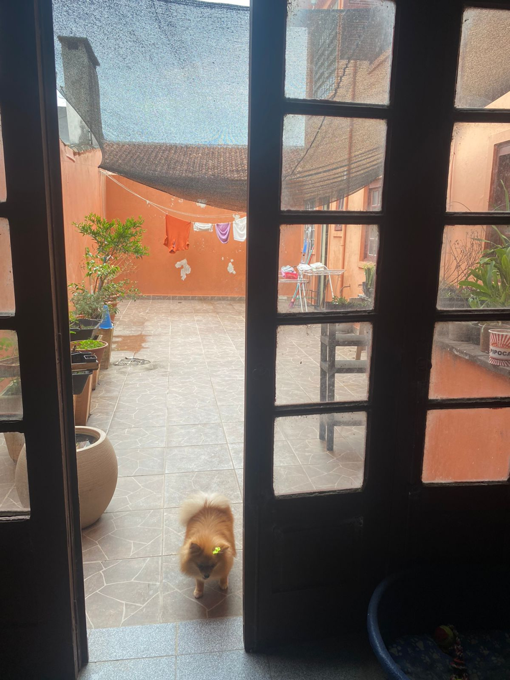 Sobrado, Areal, Pelotas/RS